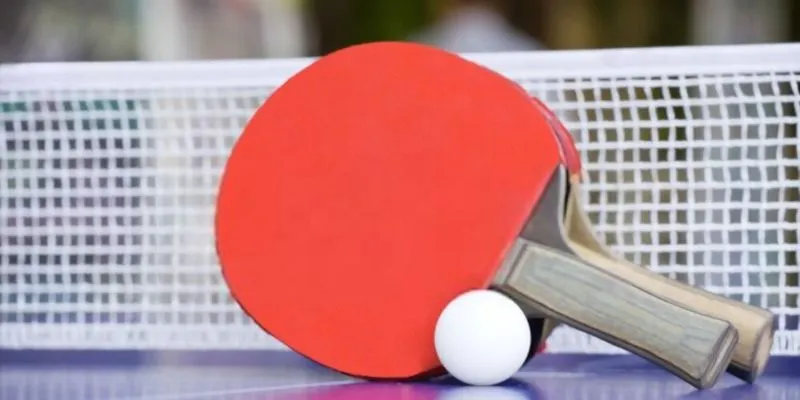 Tìm hiểu rõ từng loại hình cá cược bóng bàn phổ biến