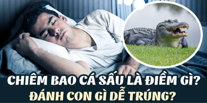 Một số lưu ý quan trọng khi áp dụng giấc mơ cá sấu vào lô đề